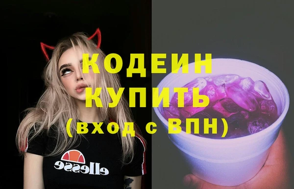 амф Ельня