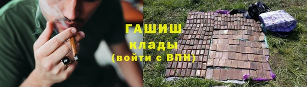 амф Ельня