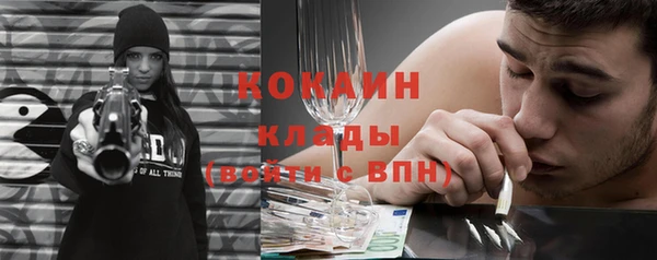 амф Ельня