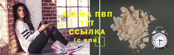 амф Ельня