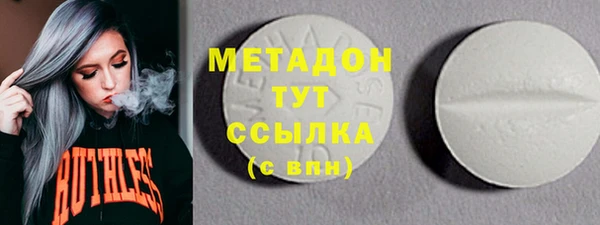 амф Ельня
