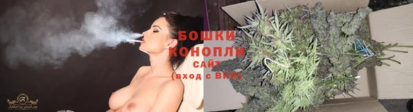 MESCALINE Елизово