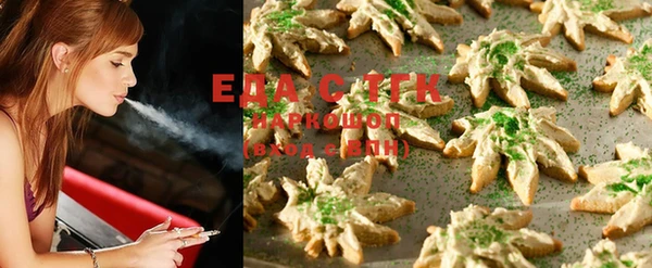 амф Ельня