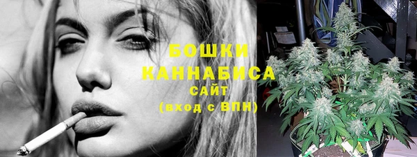 амф Ельня