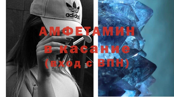 амф Ельня