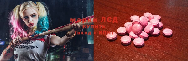 амф Ельня