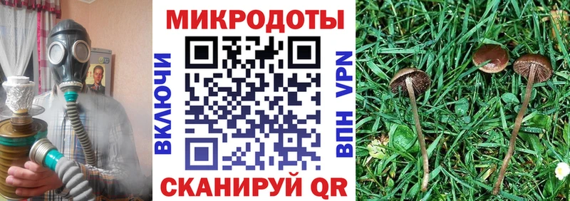 Псилоцибиновые грибы ЛСД блэк спрут ссылка Батайск